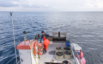 Flounder Gigging Equipment Guide – Must-Have Tools