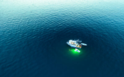 Ultimate Guide to Buying a Fishing Light